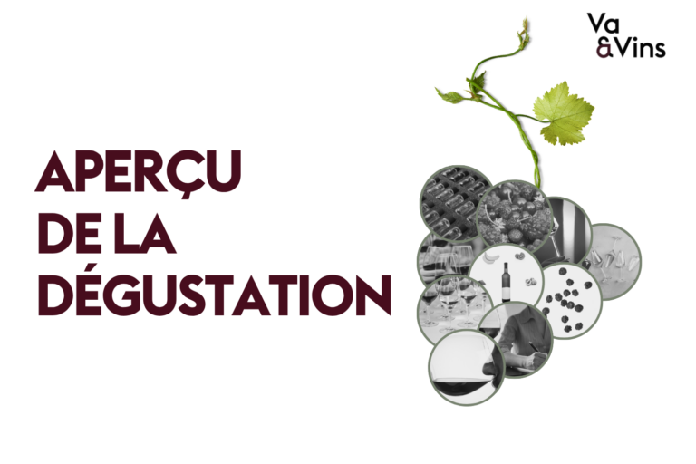 Grappe de médaillons en noir et blanc montrant verres de vin, fruits rouges et prise de notes, pour l’aperçu du cours de dégustation