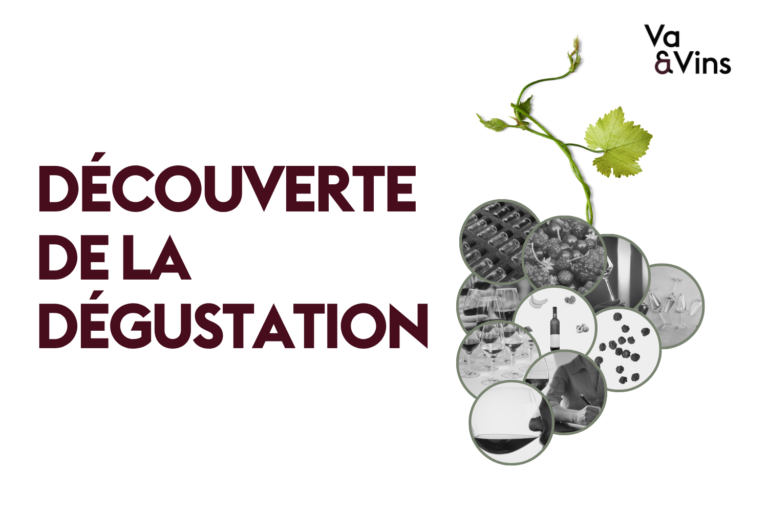 Grappe de médaillons en noir et blanc montrant verres de vin, fruits rouges, bouteille et prise de notes, pour le cours de découverte de la dégustation