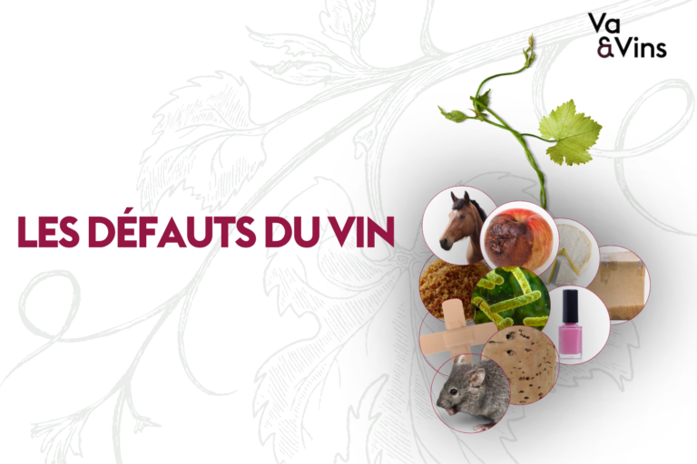 Grappe de raisin composée de médaillons illustrant les arômes de défauts du vin : cheval, pomme blette, bouchon, souris, vernis à ongles, pansement, pour le cours sur les défauts du vin