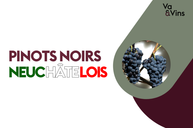 Deux grappes de pinot noir sur la vigne, cours sur les pinots noirs neuchâtelois