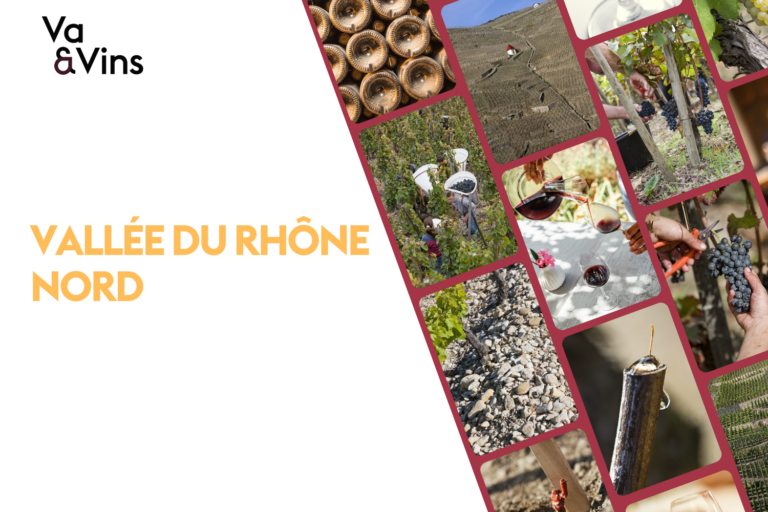 Mosaïque de photos de la vallée du Rhône nord : vignes en terrasses, vendanges, bouteilles en cave, galets et verres de vin rouge, pour le cours sur la vallée du Rhône nord
