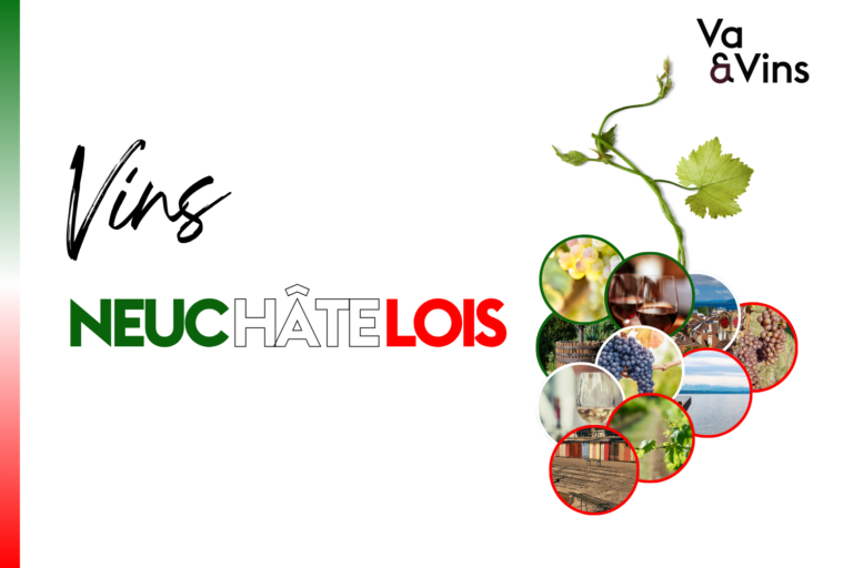 Grappe de médaillons montrant raisins, verres de vin, vignes, lac et caves de Neuchâtel, aux couleurs vert, blanc et rouge, pour le cours sur les vins neuchâtelois