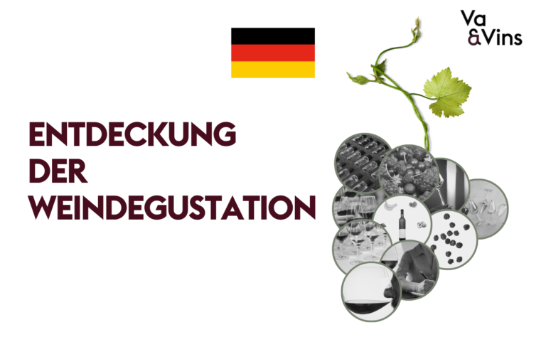 Traube aus Schwarz-Weiss-Medaillons mit Weingläsern, Beeren, Flasche und Notizen, für den Kurs Entdeckung der Weindegustation