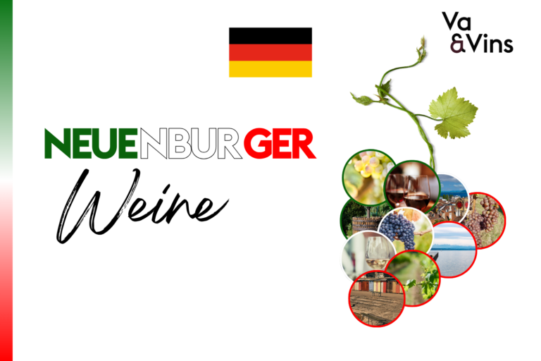 Traube aus Medaillons mit Trauben, Weingläsern, Reben, See und Weinkellern von Neuenburg in Grün, Weiss und Rot, für den Kurs über Neuenburger Weine