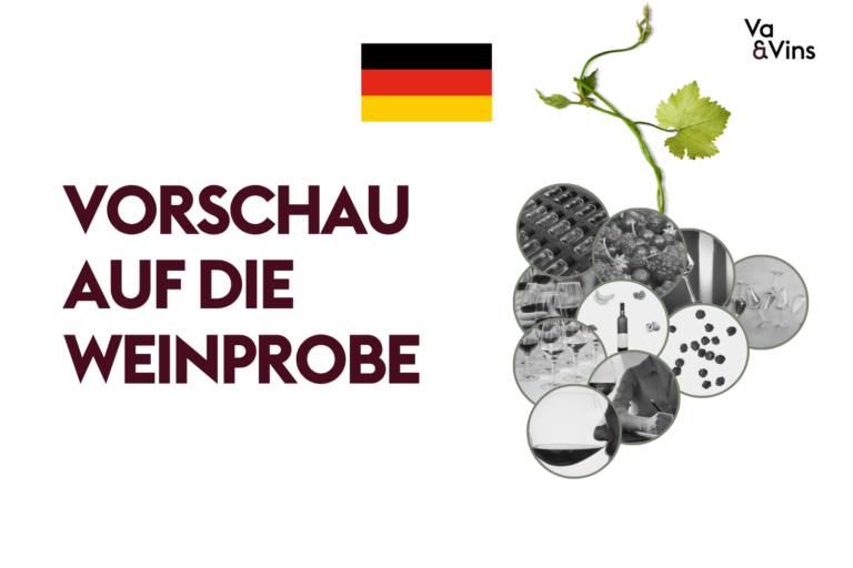 Traube aus Schwarz-Weiss-Medaillons mit Weingläsern, Beeren und Notizen, für die Vorschau auf den Weinprobe-Kurs